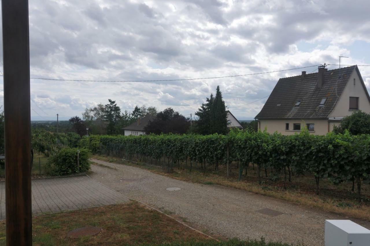 Les Cerisiers Villa Bernardswiller Buitenkant foto